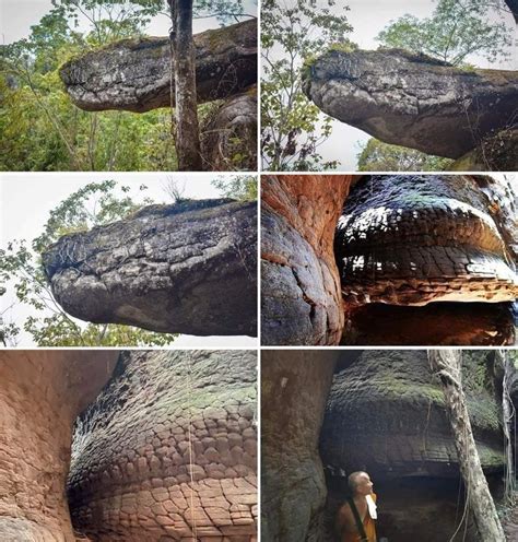 naka cave thailand snake|Is This Giant Snake Rock in Thailand an Actual。